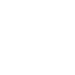 ICON_white